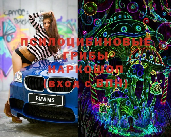 apvp Новозыбков