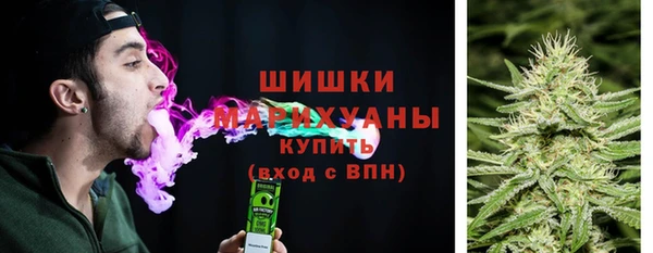 МДПВ Нефтегорск
