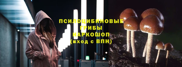 мяу мяу мука Новокубанск